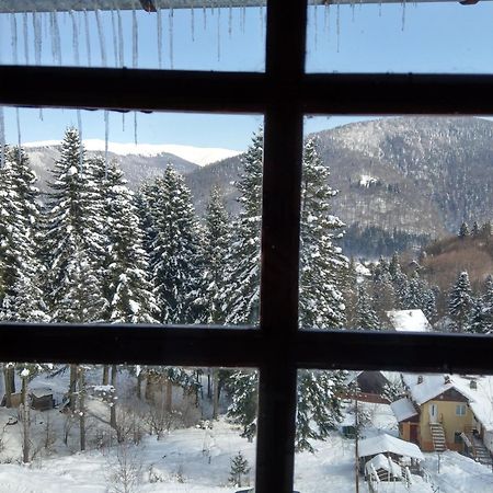 Grandpa'S Hidden Crib, 6 Bedroom, Pet Friendly Sinaia Exteriör bild