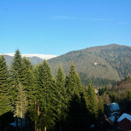 Grandpa'S Hidden Crib, 6 Bedroom, Pet Friendly Sinaia Exteriör bild