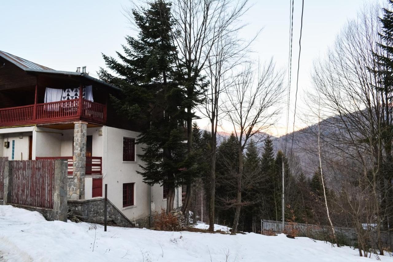 Grandpa'S Hidden Crib, 6 Bedroom, Pet Friendly Sinaia Exteriör bild