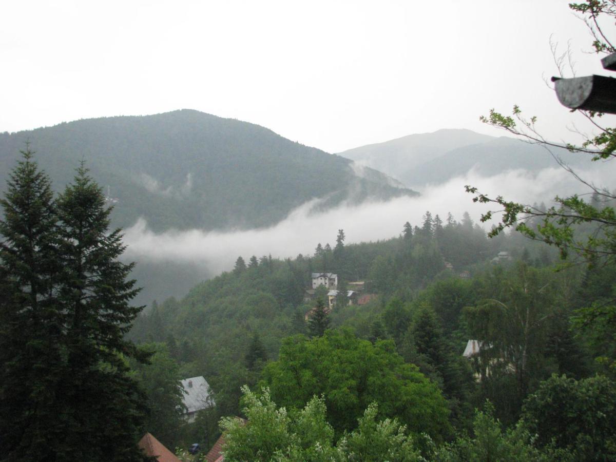 Grandpa'S Hidden Crib, 6 Bedroom, Pet Friendly Sinaia Exteriör bild
