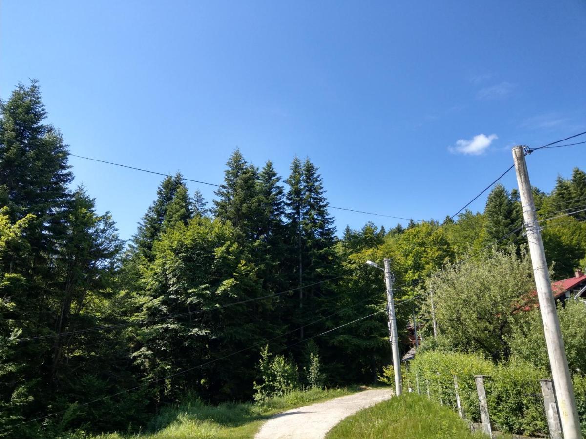 Grandpa'S Hidden Crib, 6 Bedroom, Pet Friendly Sinaia Exteriör bild