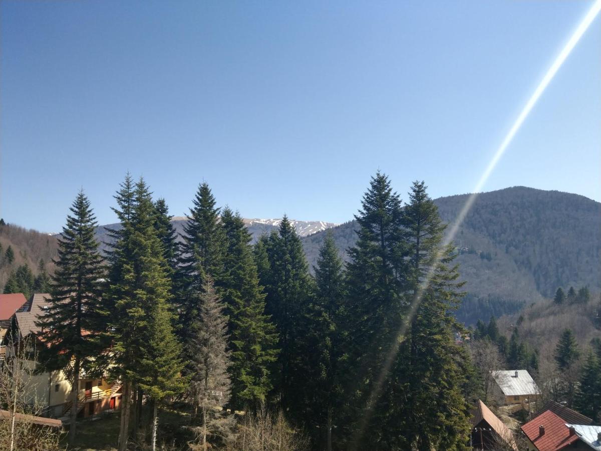 Grandpa'S Hidden Crib, 6 Bedroom, Pet Friendly Sinaia Exteriör bild
