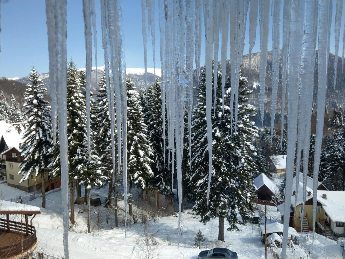 Grandpa'S Hidden Crib, 6 Bedroom, Pet Friendly Sinaia Exteriör bild