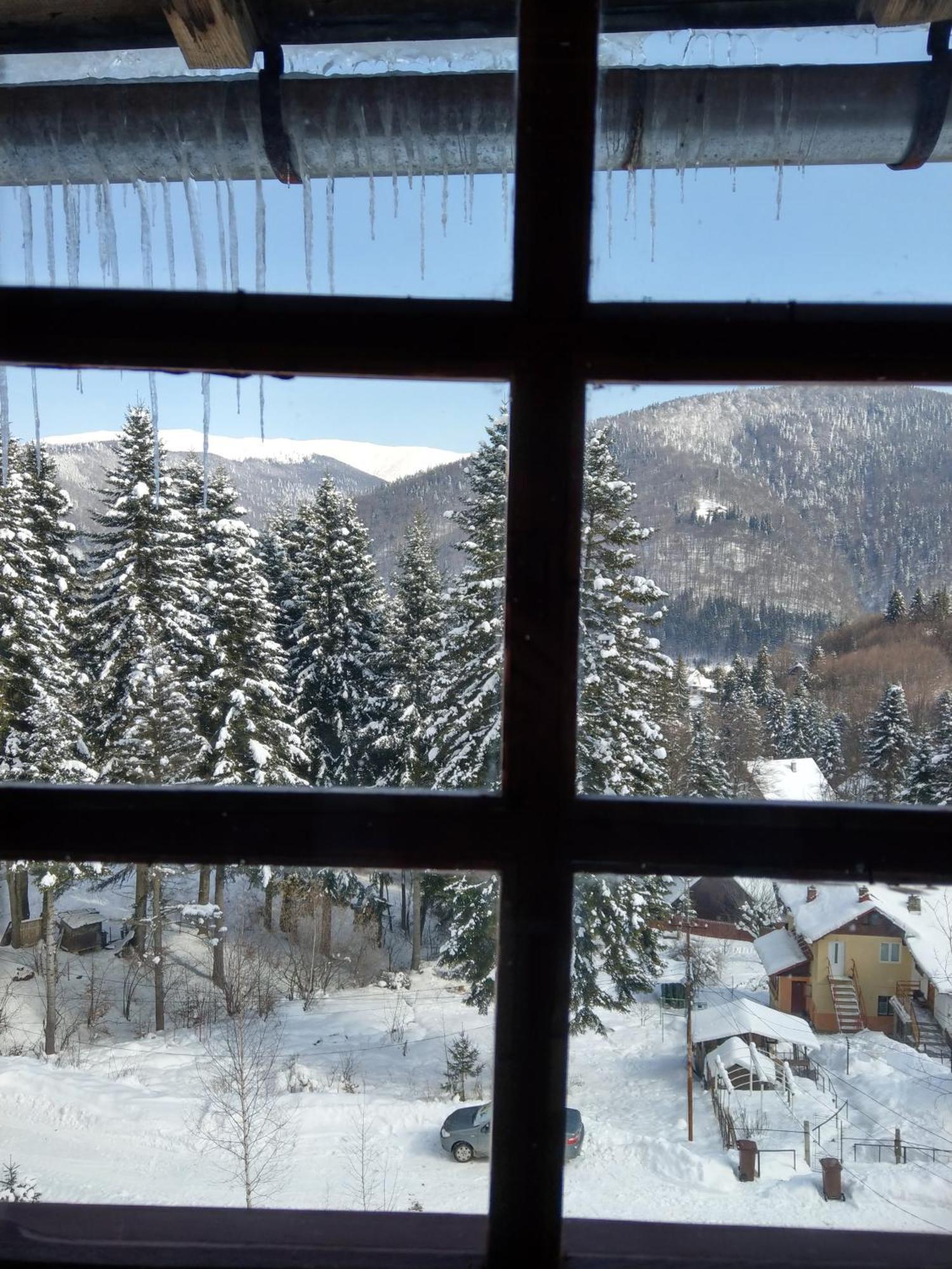 Grandpa'S Hidden Crib, 6 Bedroom, Pet Friendly Sinaia Exteriör bild