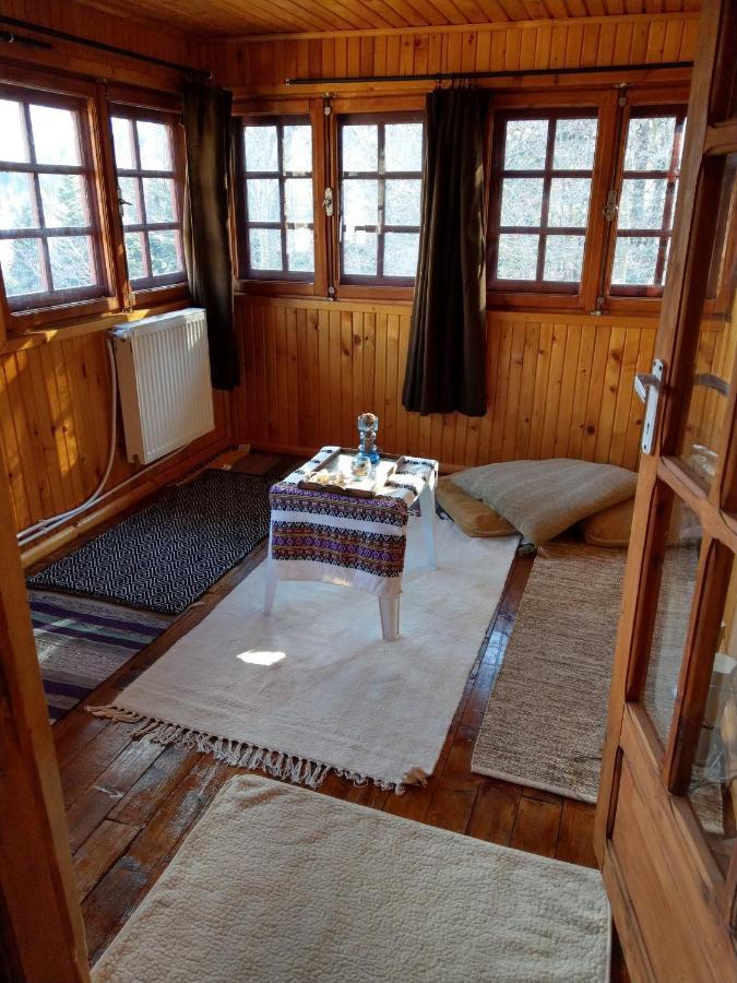 Grandpa'S Hidden Crib, 6 Bedroom, Pet Friendly Sinaia Exteriör bild