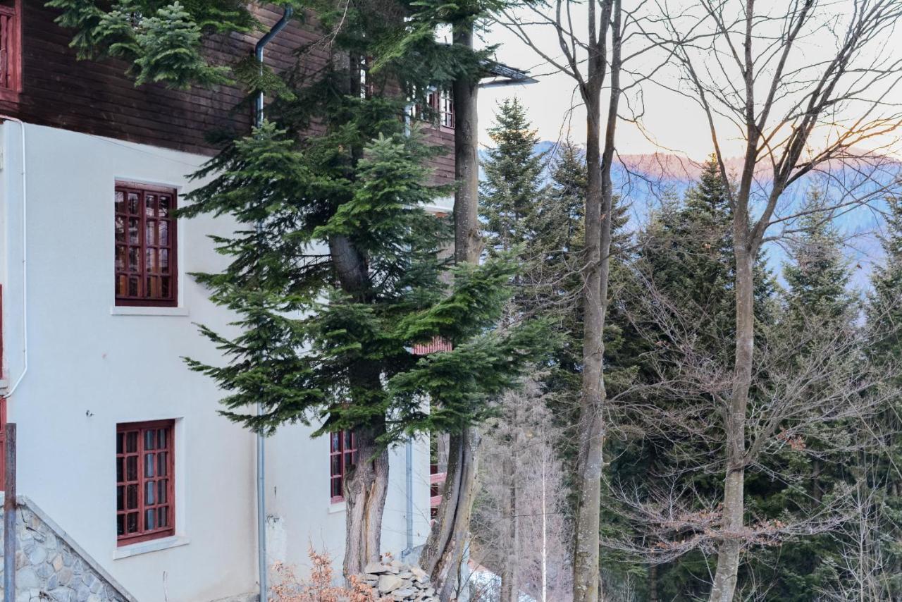 Grandpa'S Hidden Crib, 6 Bedroom, Pet Friendly Sinaia Exteriör bild