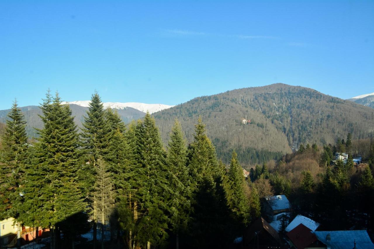 Grandpa'S Hidden Crib, 6 Bedroom, Pet Friendly Sinaia Exteriör bild