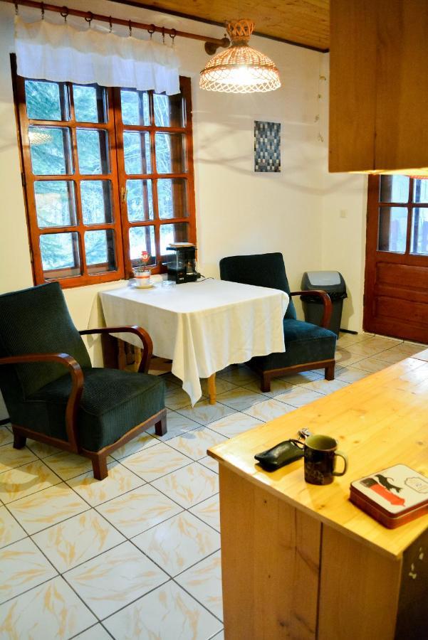 Grandpa'S Hidden Crib, 6 Bedroom, Pet Friendly Sinaia Exteriör bild