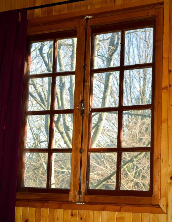 Grandpa'S Hidden Crib, 6 Bedroom, Pet Friendly Sinaia Exteriör bild