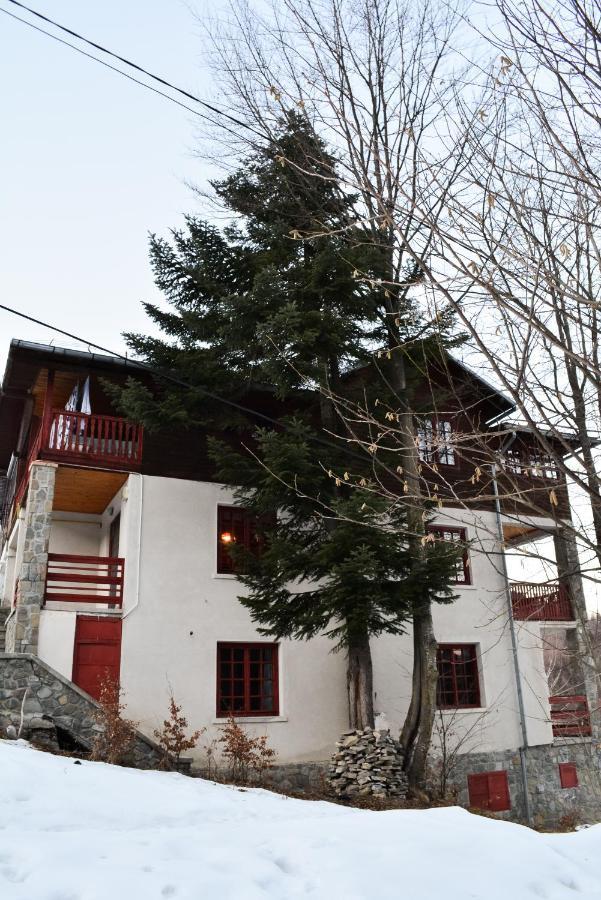 Grandpa'S Hidden Crib, 6 Bedroom, Pet Friendly Sinaia Exteriör bild