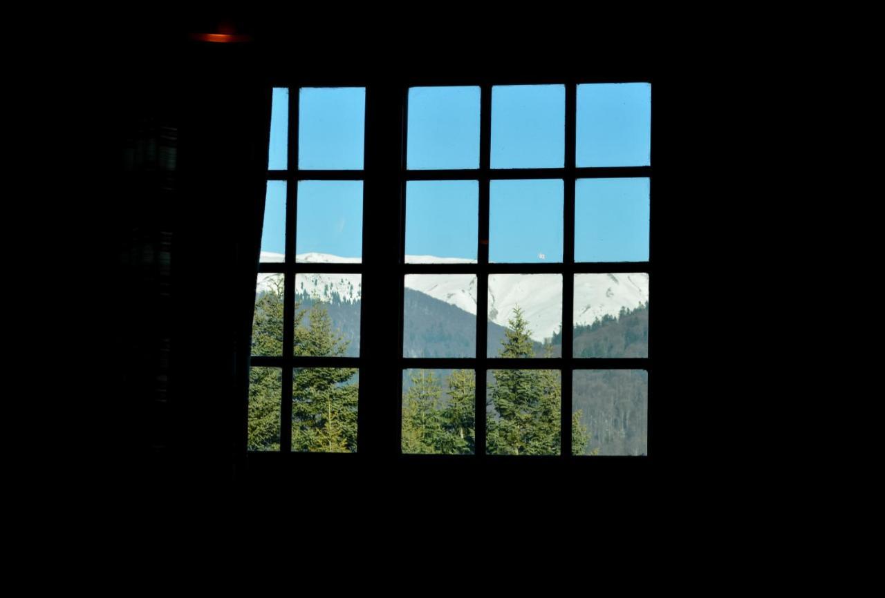 Grandpa'S Hidden Crib, 6 Bedroom, Pet Friendly Sinaia Exteriör bild